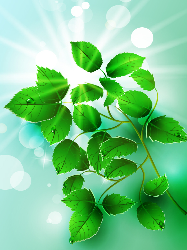 free vector Beautiful light green leaves vector